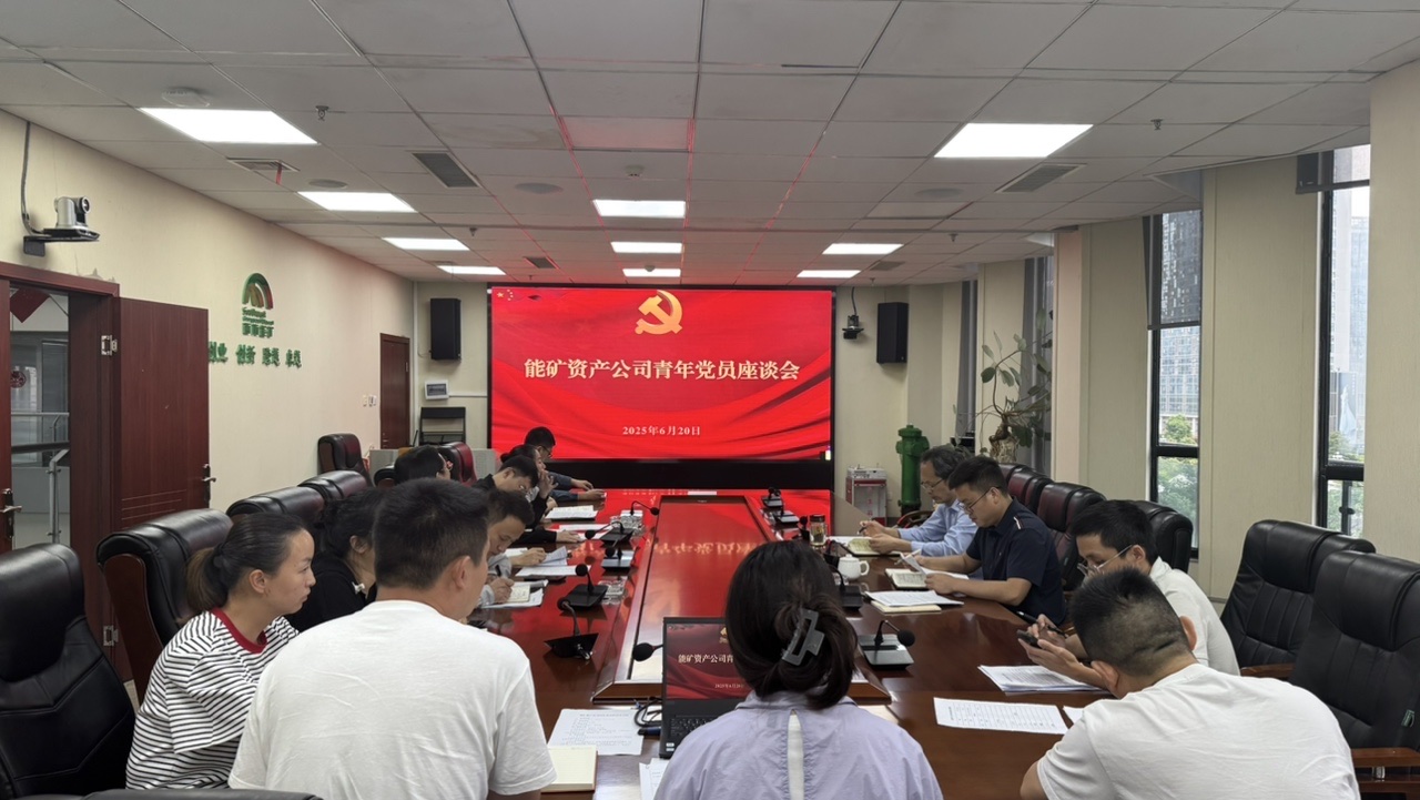 能矿资产公司青年党员深学笃行集团公司作风建设“32字要求”